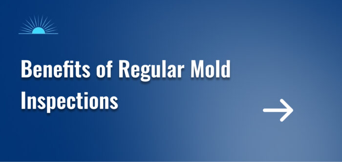 Benefits of Regular Mold Inspections