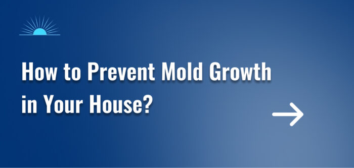 How to Prevent Mold Growth in Your House