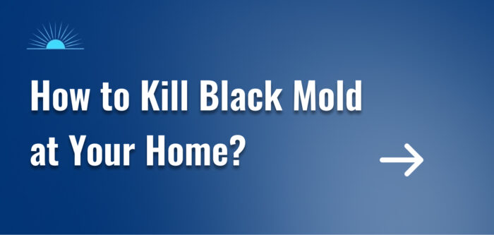 How to Kill Black Mold at Your Home