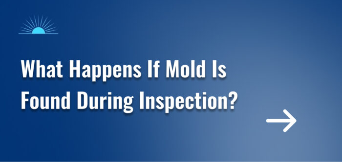What Happens If Mold Is Found During Inspection