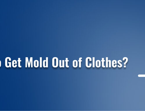 How to Get Mold Out of Clothes?