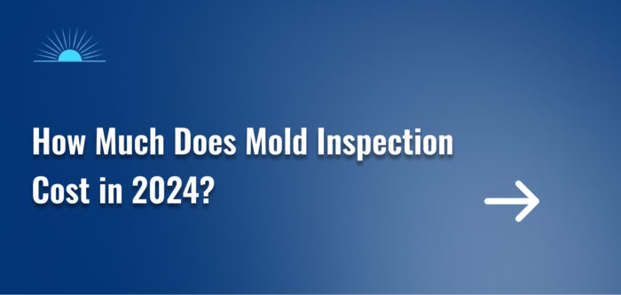 How Much Does Mold Inspection Cost in 2024