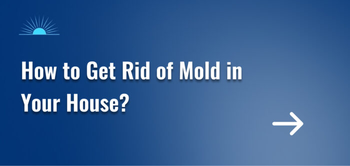 How to Get Rid of Mold in Your House