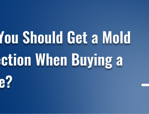 Why You Should Get a Mold Inspection When Buying a House?