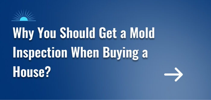 Why You Should Get a Mold Inspection When Buying a House