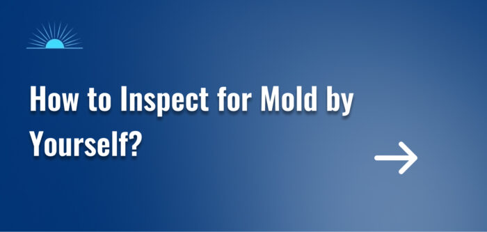 How to Inspect for Mold by Yourself