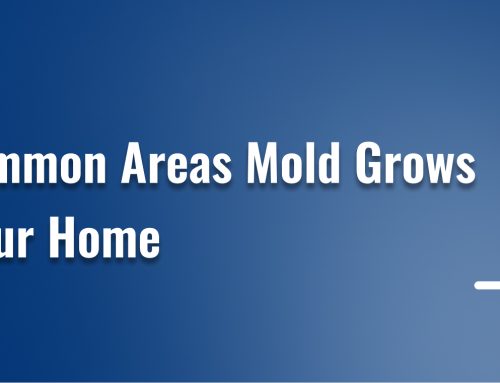 5 Common Areas Mold Grows in Your Home