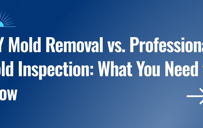 DIY Mold Removal vs. Professional Mold Inspection What You Need to Know