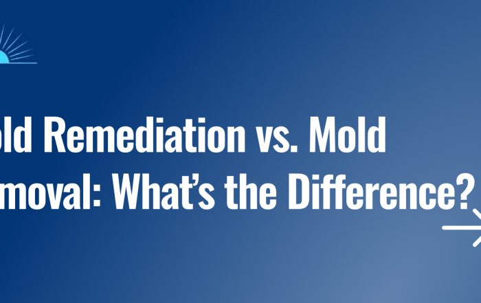 Mold Remediation vs. Mold Removal What’s the Difference