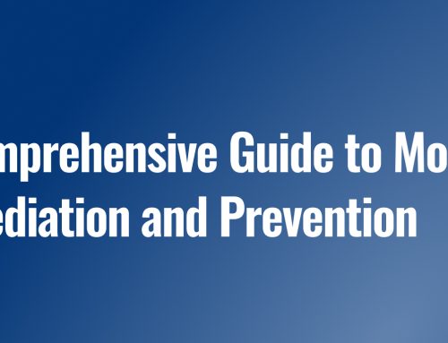 A Comprehensive Guide to Mold Remediation and Prevention