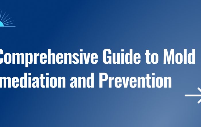 A Comprehensive Guide to Mold Remediation and Prevention